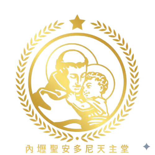 IMG_5349-removebg-preview